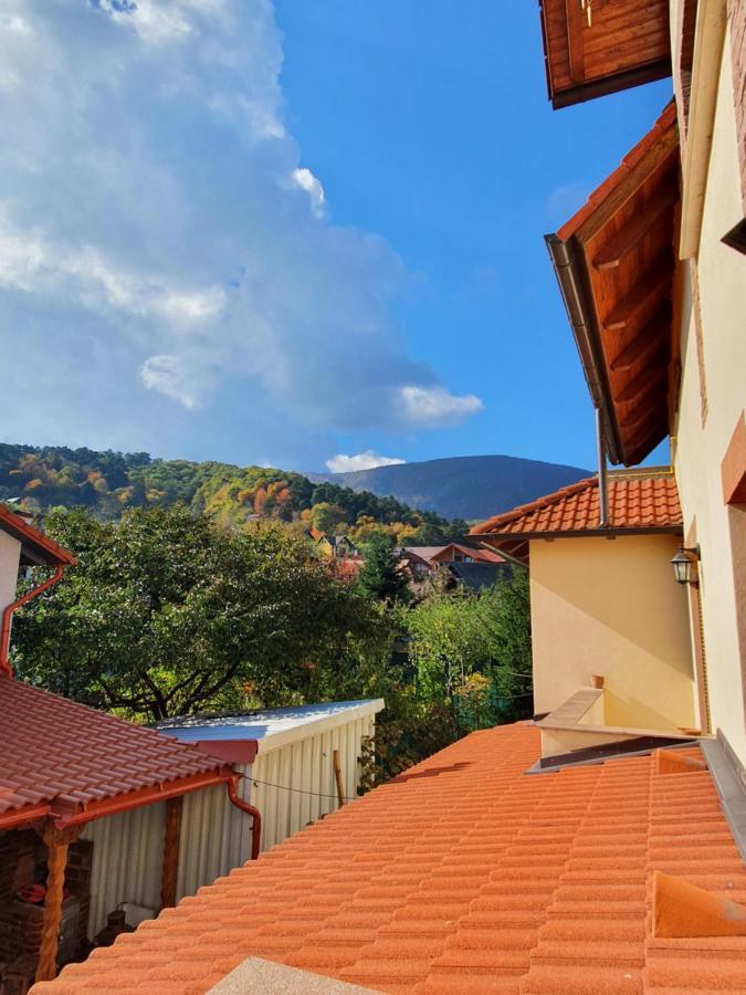 Apartament La Casa In Curte Comuna Lägenhet Codlea Exteriör bild