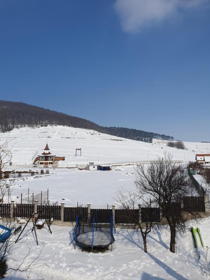Apartament La Casa In Curte Comuna Lägenhet Codlea Exteriör bild